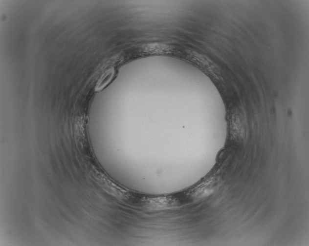 X0000068310473200605051535