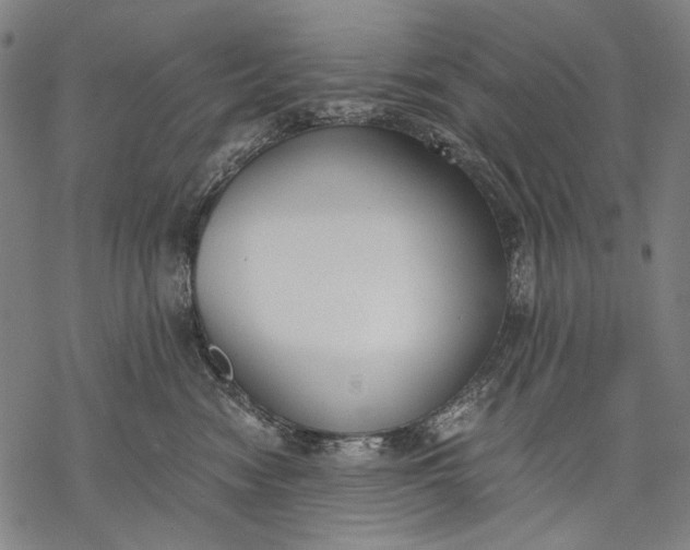 X0000068310474200605051535