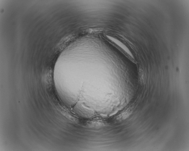 X0000068310475200605051535