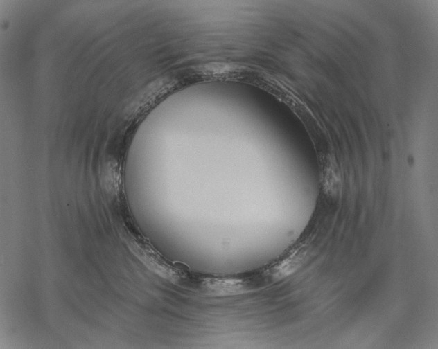 X0000068310476200605051535