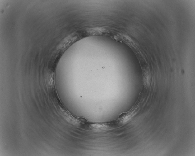 X0000068310477200605051535