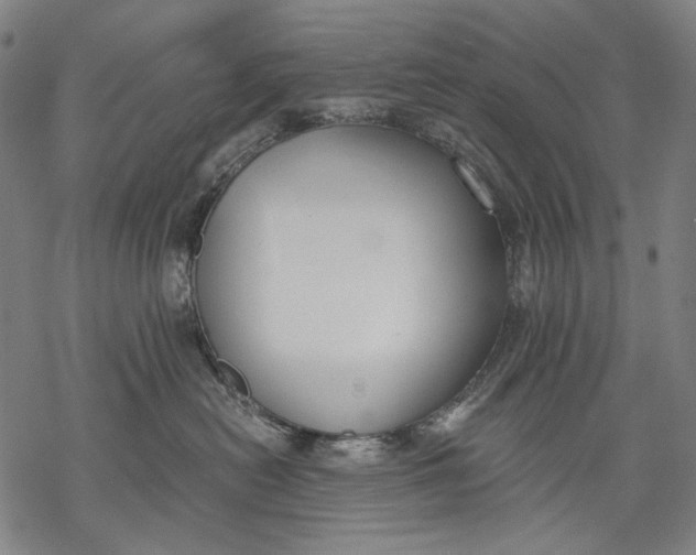 X0000068310478200605051535