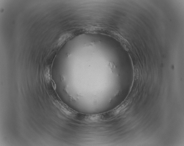 X0000068310479200605051535