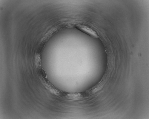 X0000068310480200605051535