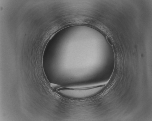 X0000068310481200605051535