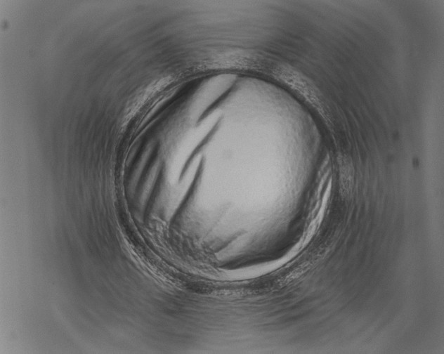 X0000068310482200605051535