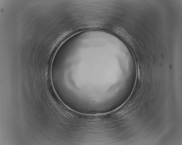 X0000068310483200605051535