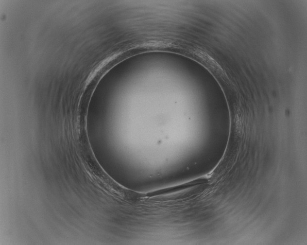 X0000068310484200605051535