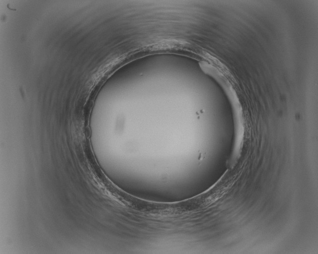 X0000068310485200605051535