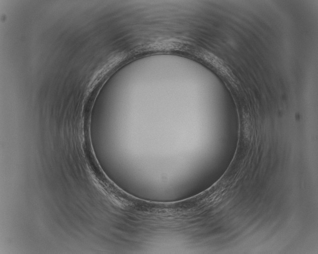 X0000068310486200605051534