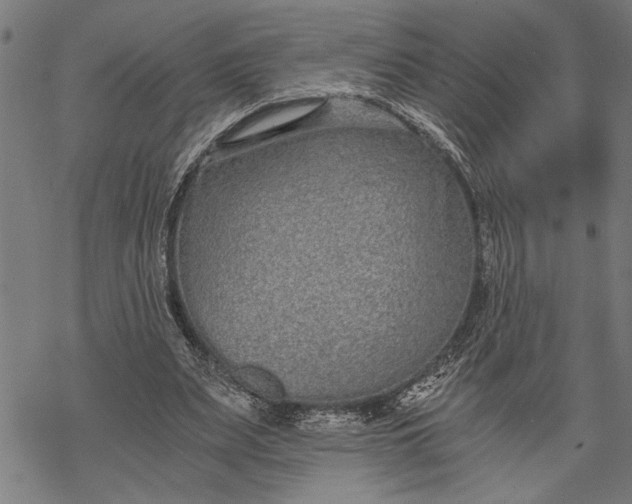 X0000068310487200605051534