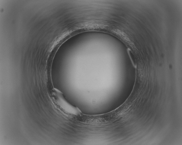 X0000068310488200605051534