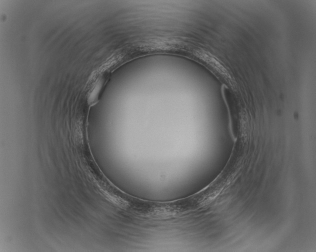 X0000068310489200605051534