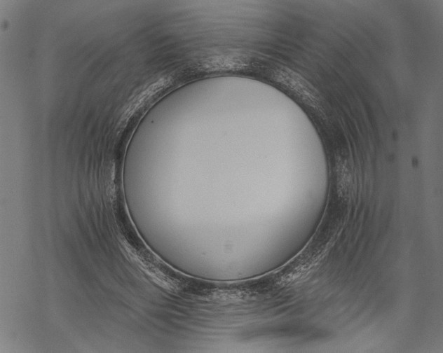 X0000068310490200605051534