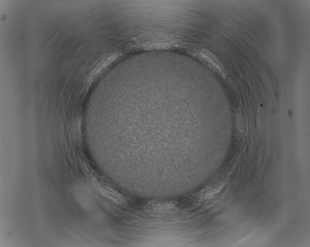 X0000068310491200605051534