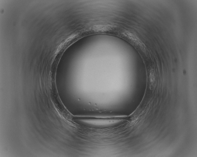 X0000068310492200605051534