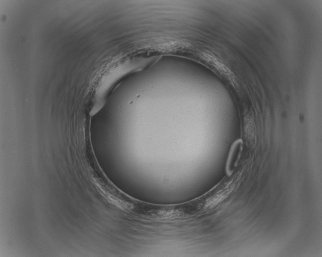 X0000068310493200605051534