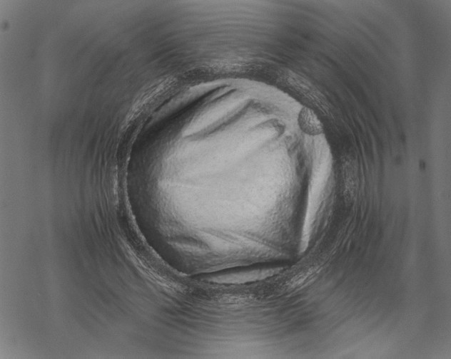 X0000068310494200605051534