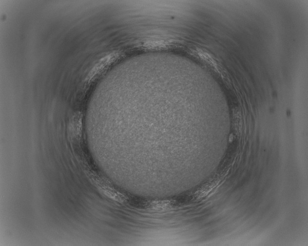 X0000068310495200605051534