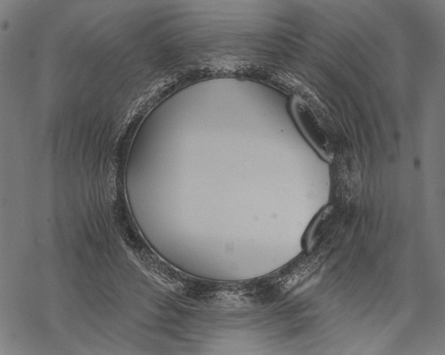 X0000068310496200605051534