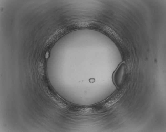 X0000068310497200605051534