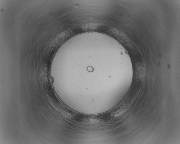 X0000068310498200605051534