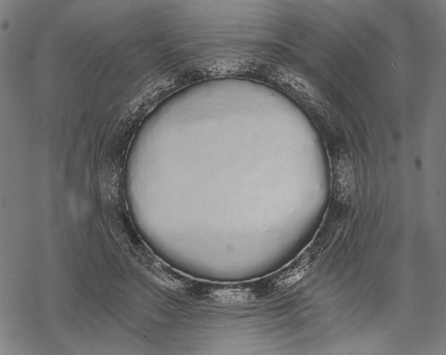 X0000068310499200605051534