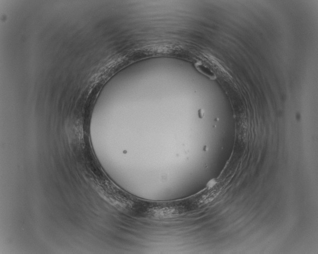 X0000068310500200605051534