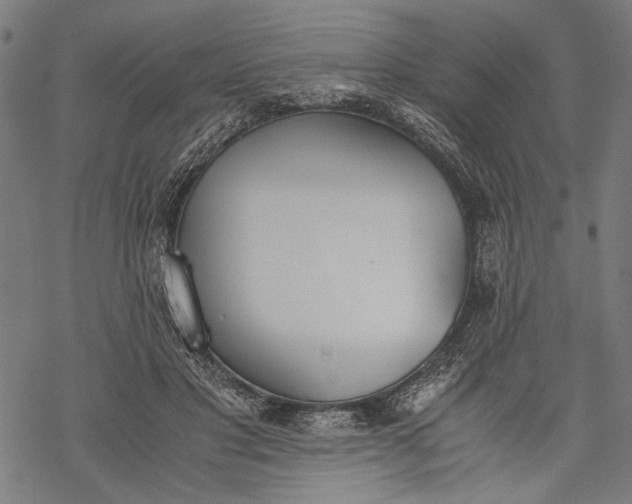 X0000068310501200605051534