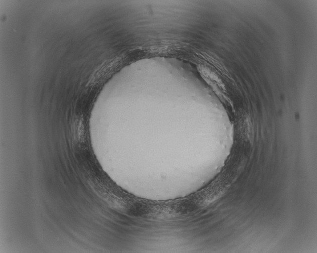 X0000068310502200605051534