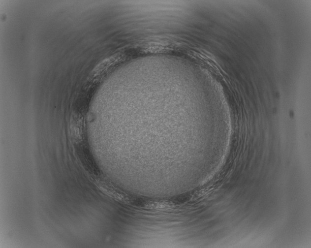 X0000068310503200605051534