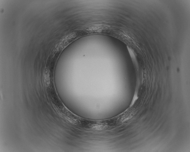 X0000068310504200605051534