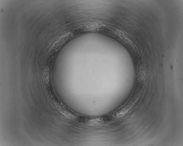 X0000068310505200605051534