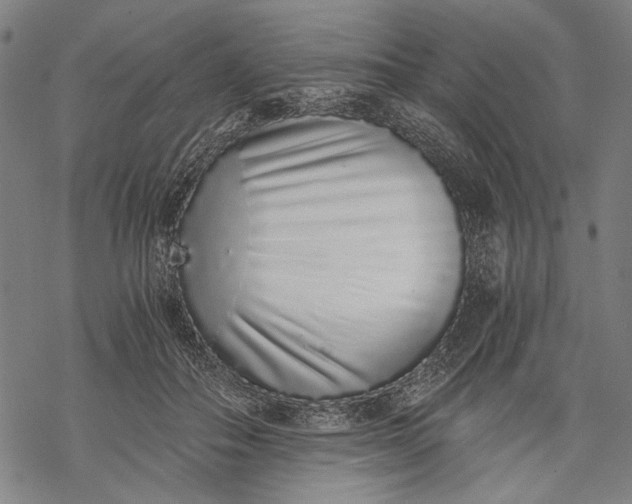 X0000068310506200605051534