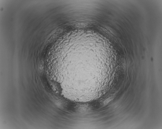 X0000068310507200605051534