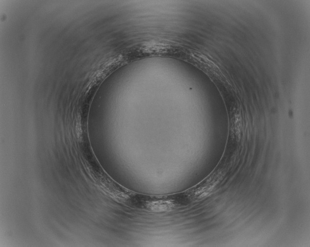 X0000068310508200605051534