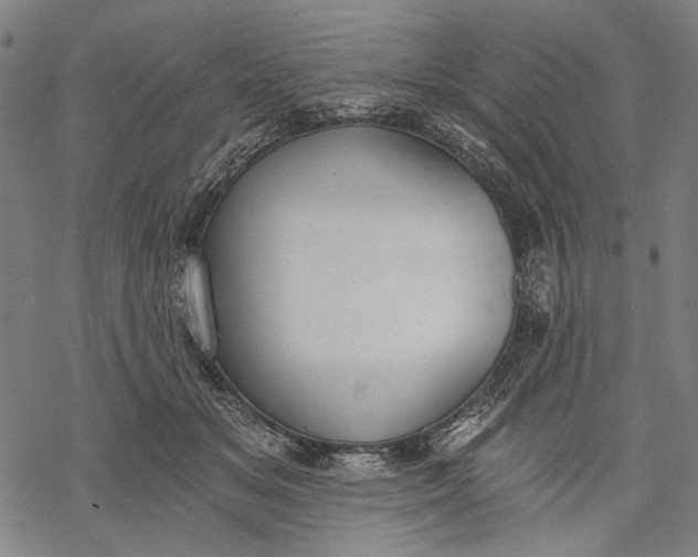 X0000068310509200605051534