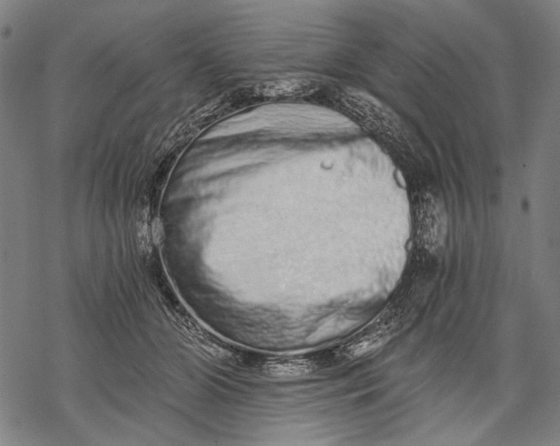 X0000068310510200605051534