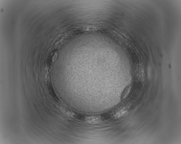 X0000068310511200605051534