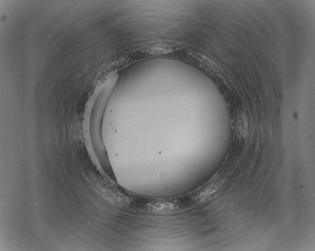 X0000068310512200605051534