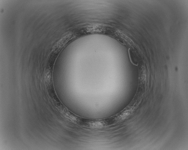 X0000068310513200605051534