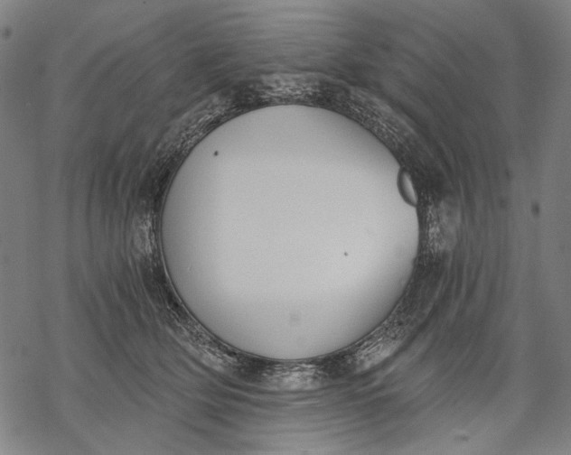 X0000068310514200605051534