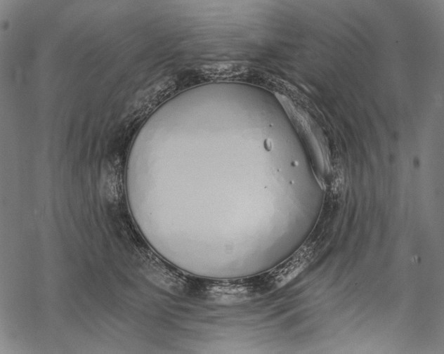 X0000068310515200605051534