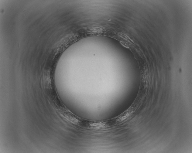 X0000068310516200605051534