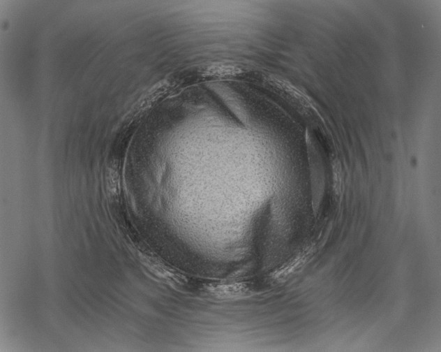 X0000068310517200605051534