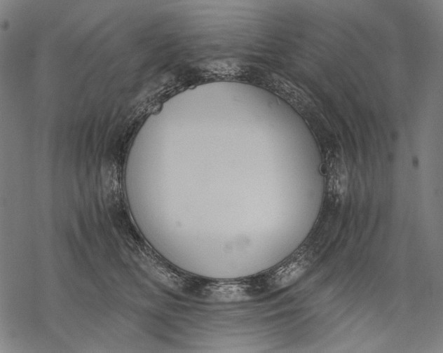 X0000068310518200605051534