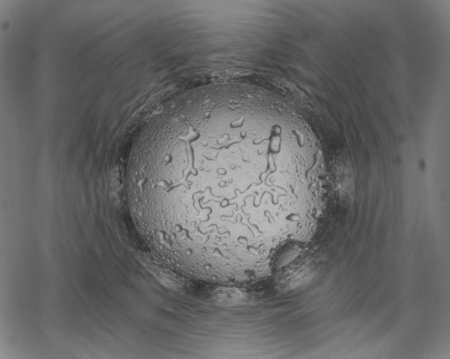 X0000068310519200605051534