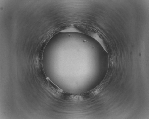 X0000068310520200605051534