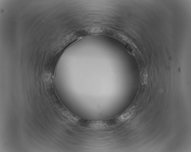 X0000068310521200605051534