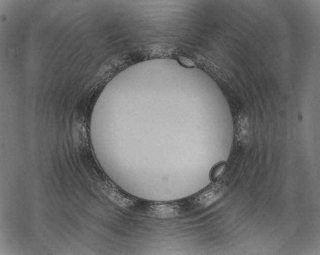 X0000068310522200605051534